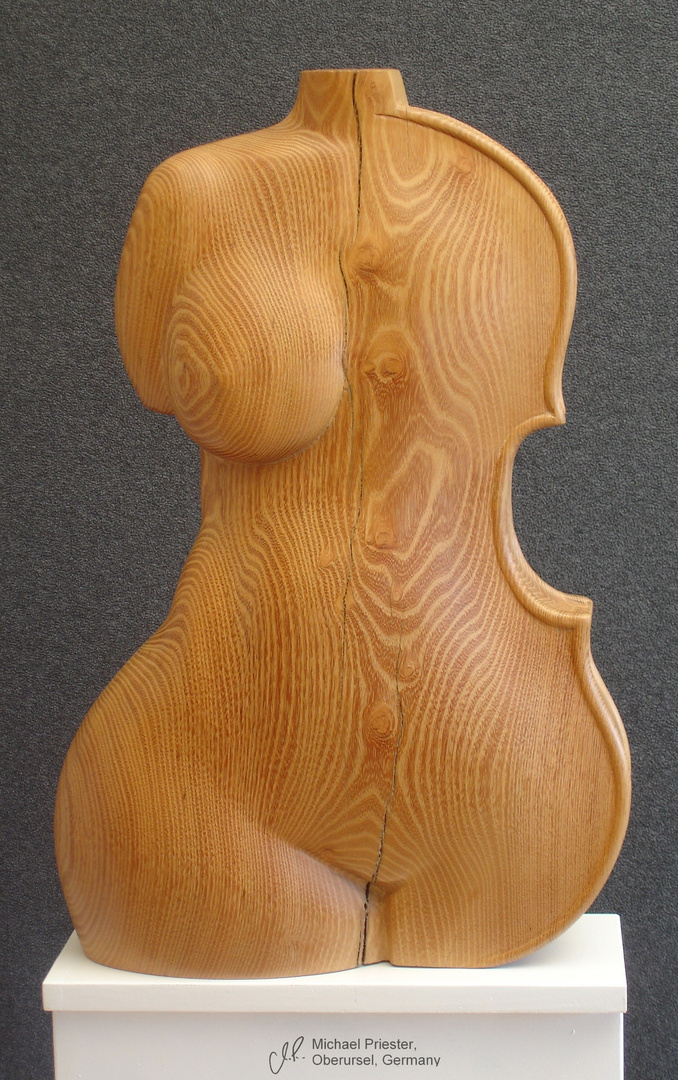 Cellotorso