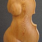 Cellotorso