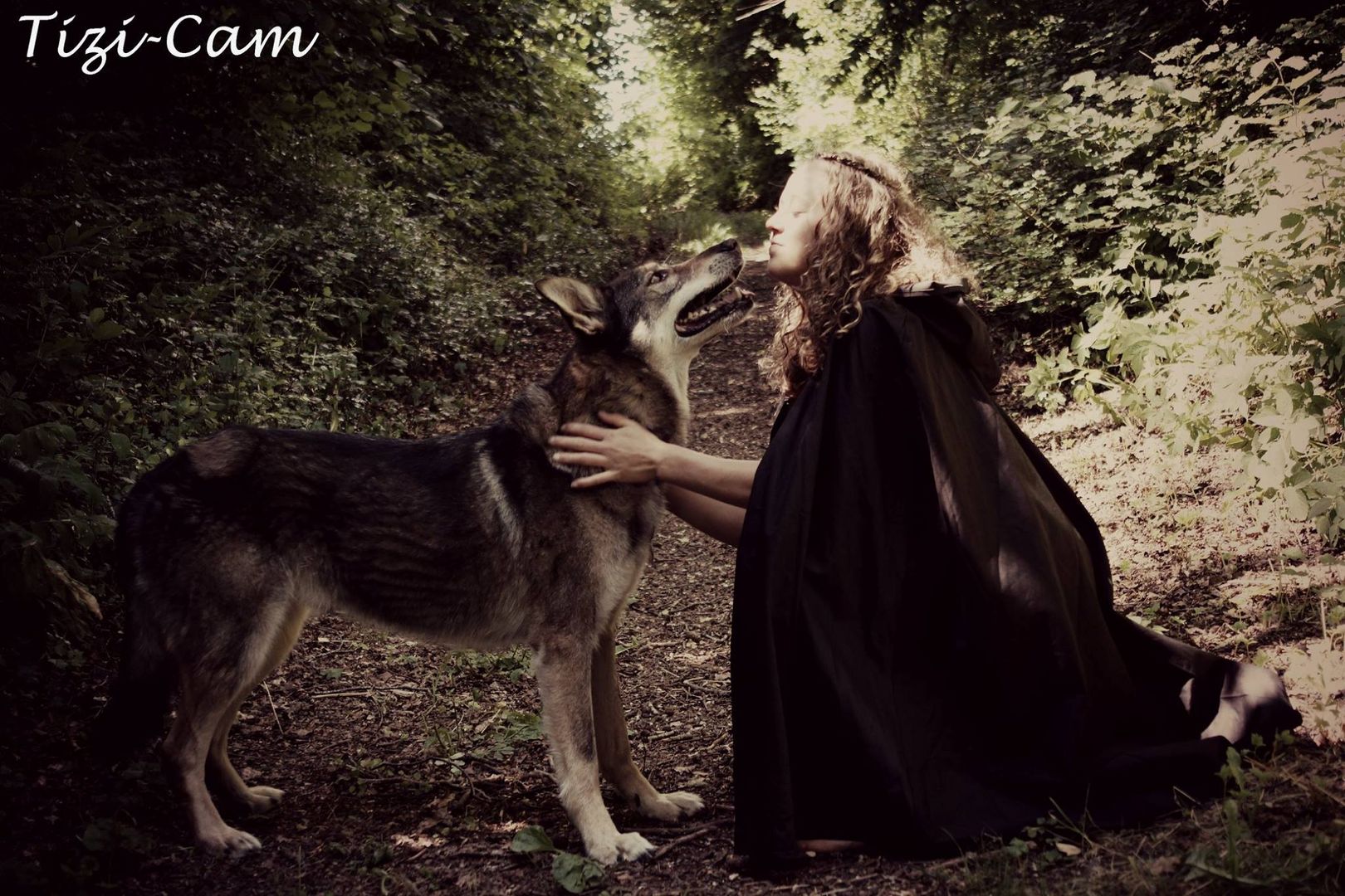 Celtic-Wolf