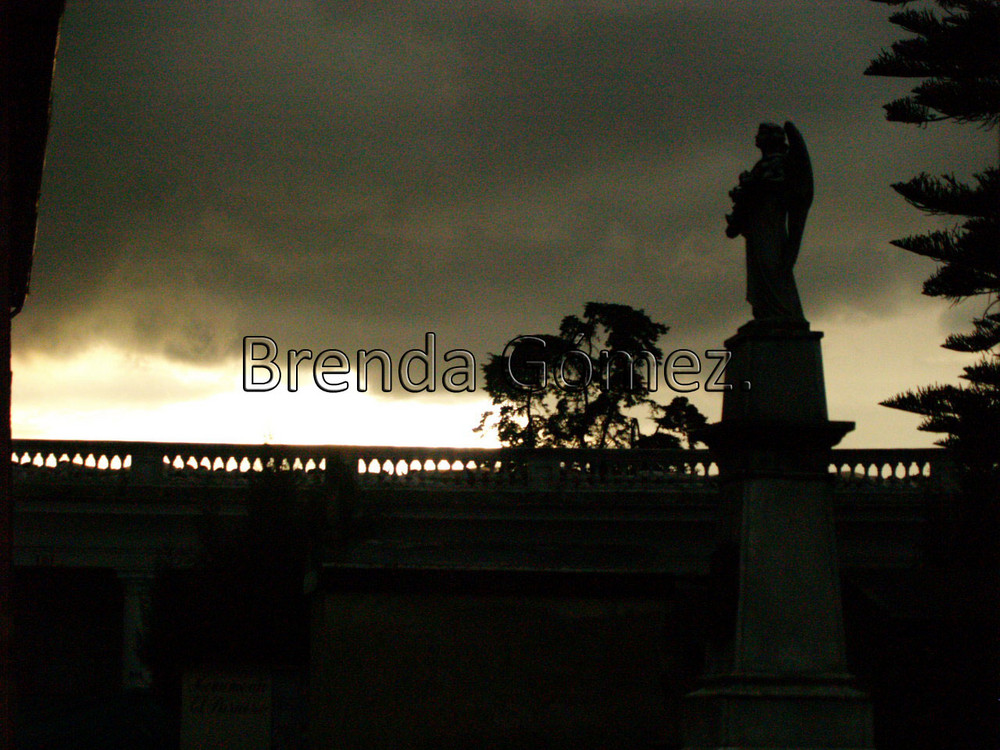 Cementerio Central.