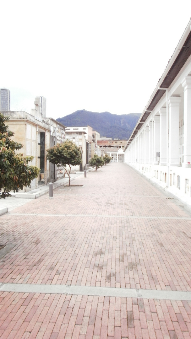 cementerio central