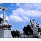 cementerio colon havanna # 1