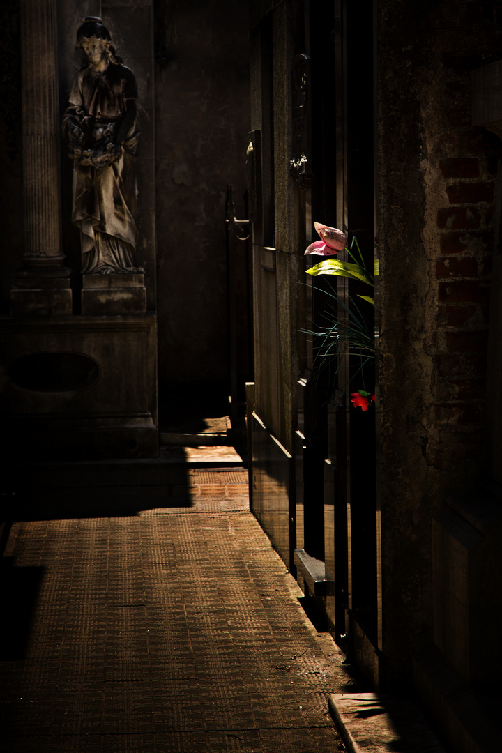 Cementerio de la Recoleta (argentinische Impressionen)