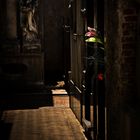 Cementerio de la Recoleta (argentinische Impressionen)