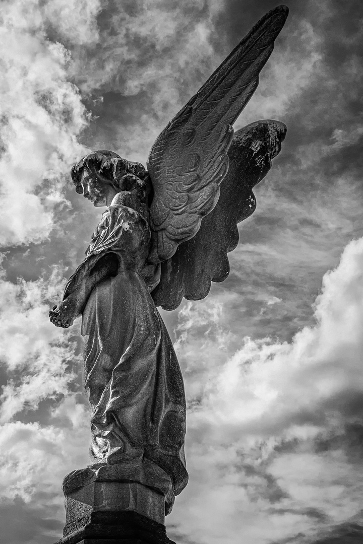 Cementerio de Poblenou 08