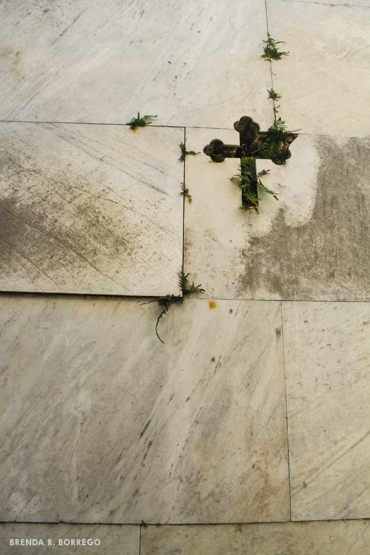 Cementerio de Recoleta