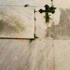 Cementerio de Recoleta