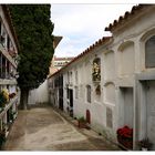 [ cementerio de Tossa ]