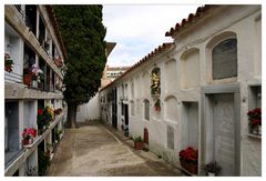 [ cementerio de Tossa ]