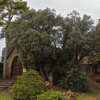 Cementerio Modernista