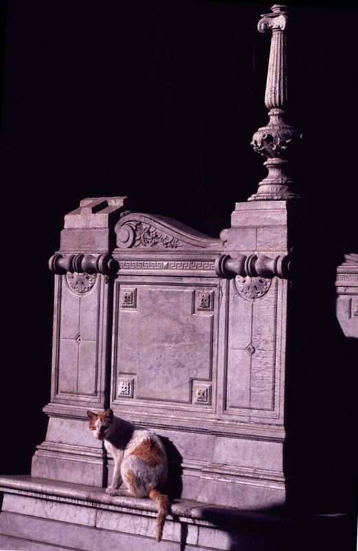 Cementerio Recoleta, Buenos Aires