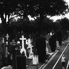 cementery