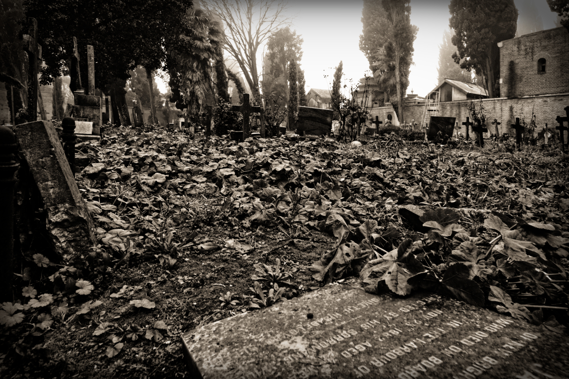 Cementery in Venice 4