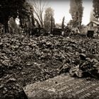 Cementery in Venice 4