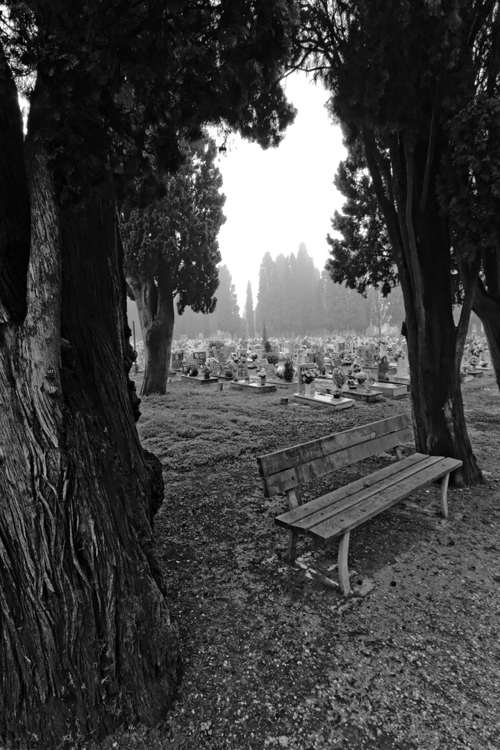 Cementery in Venice