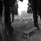 Cementery in Venice