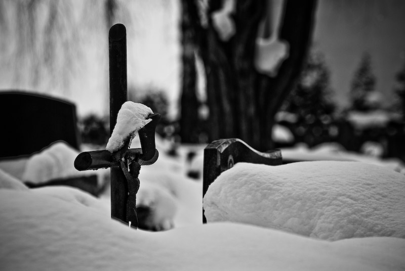 Cementery, Winter 2009