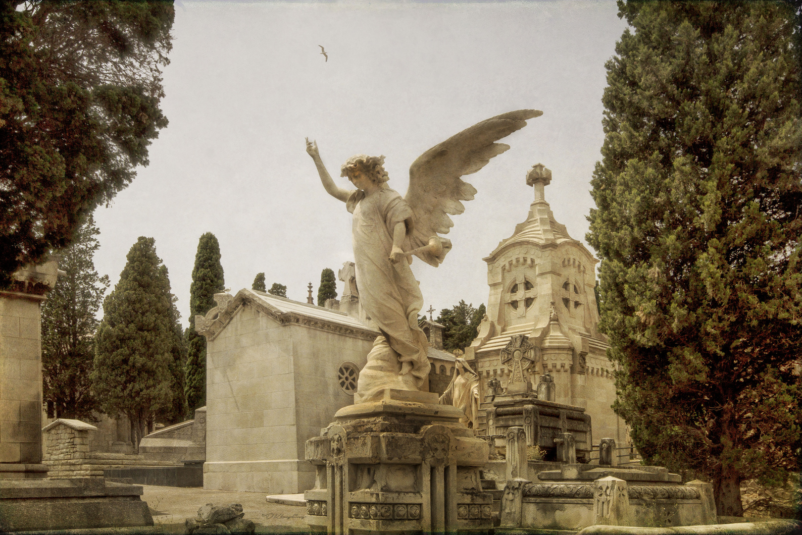 Cementiri de Montjuïc III