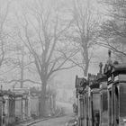 Cemetery at fog