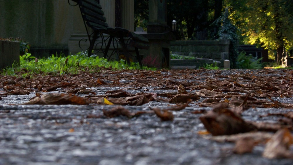 Cemetery Autumn