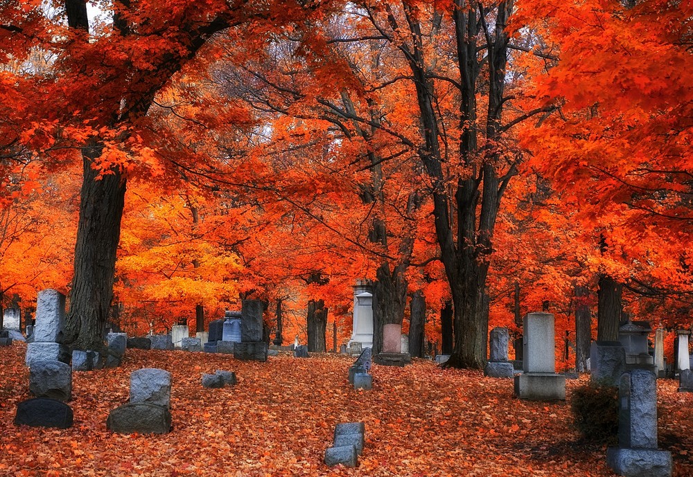 Cemetery Color