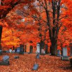 Cemetery Color