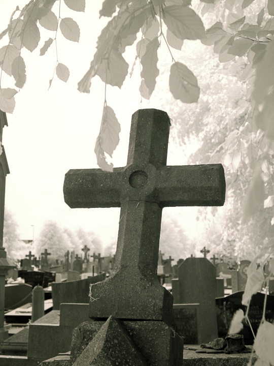 Cemetery Cross