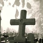 Cemetery Cross