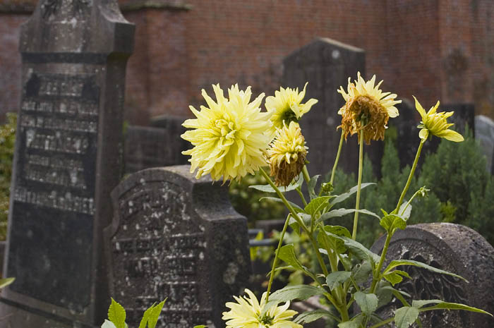 cemetery flowers