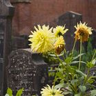 cemetery flowers