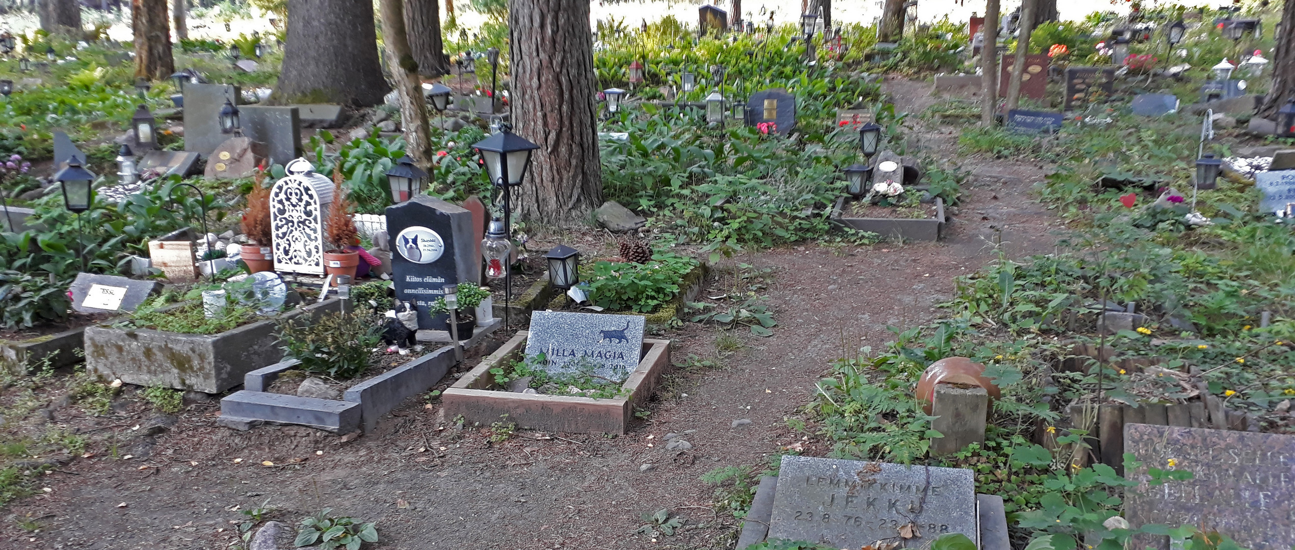 Cemetery for the pets