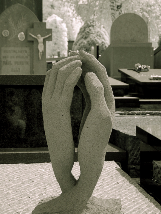 Cemetery Hands