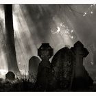 Cemetery, Hill Lane, Southampton. (Reload: Scan vom Negativ)