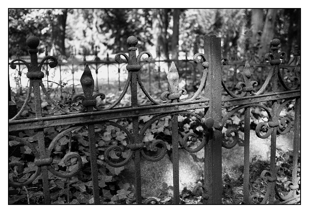 Cemetery impressions - 3