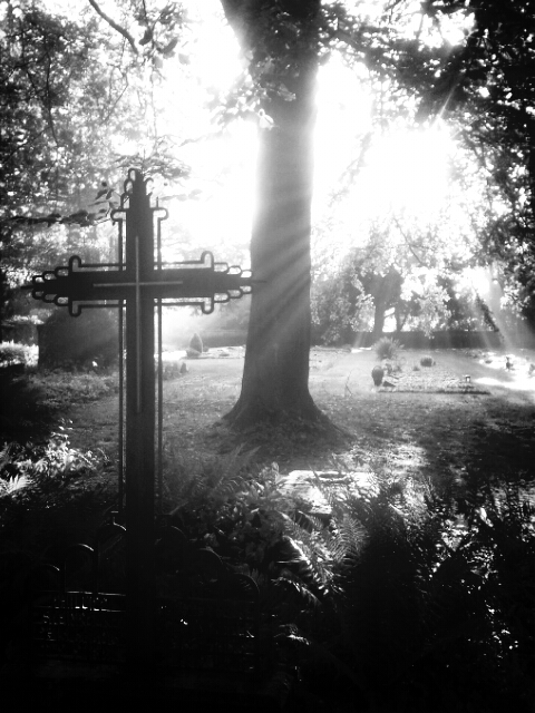 Cemetery in b/w