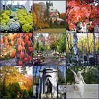 Cemetery in Stettin