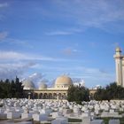 Cemetery of Monastir with the Mosquea