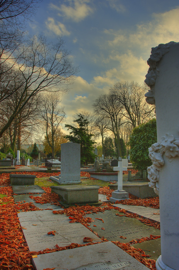 Cemetery Oud Eik en Duinen 2 - The Hague