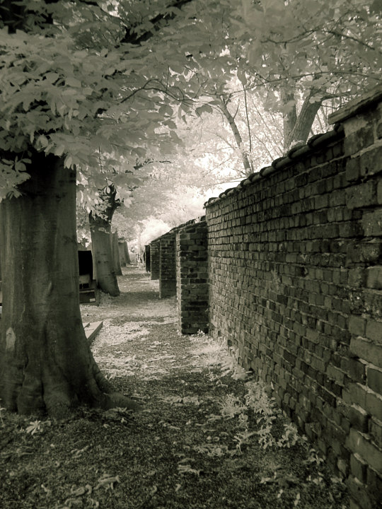 Cemetery Wall