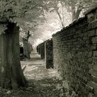 Cemetery Wall