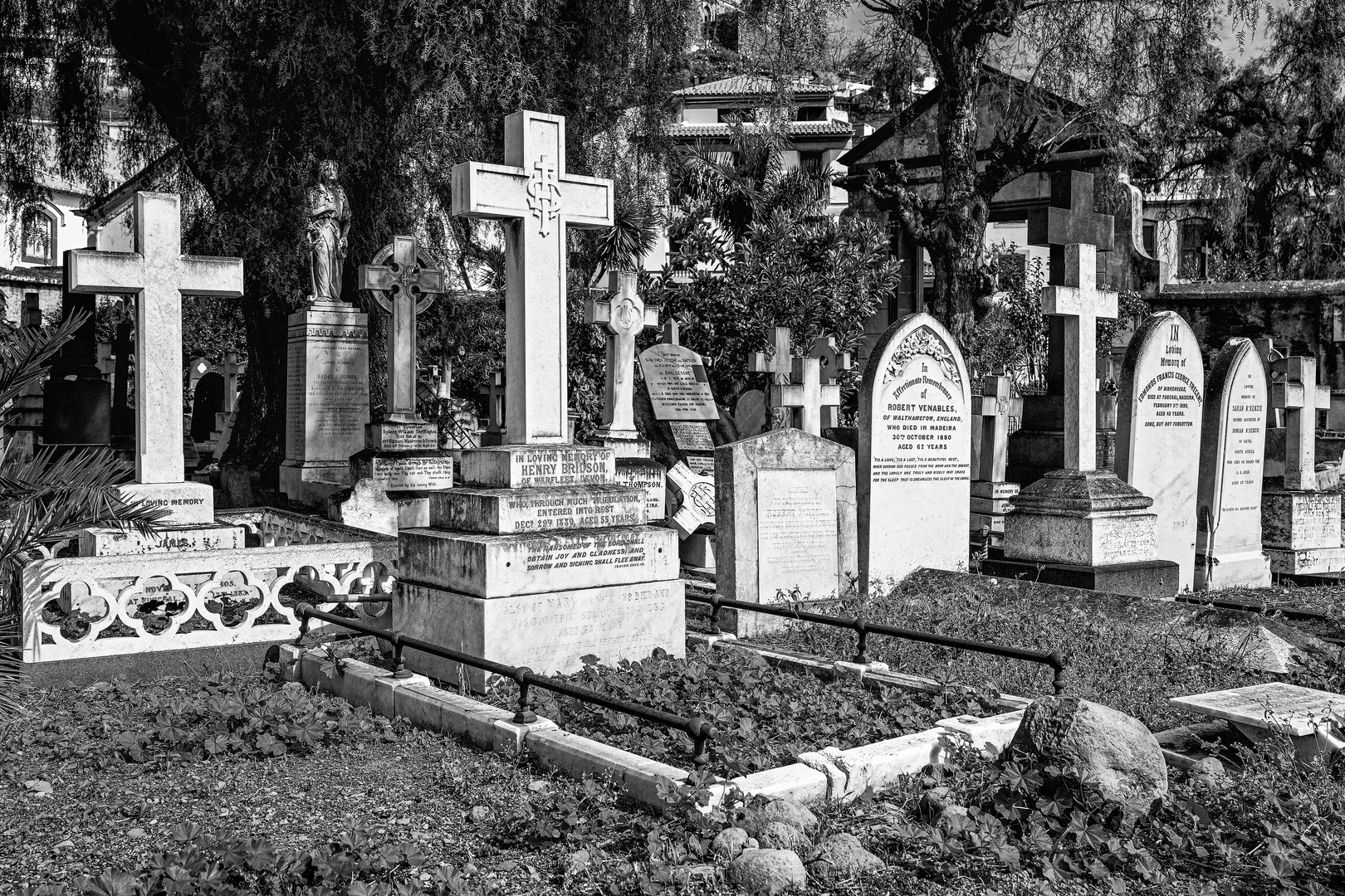 Cemitério Britânico da Madeira 01
