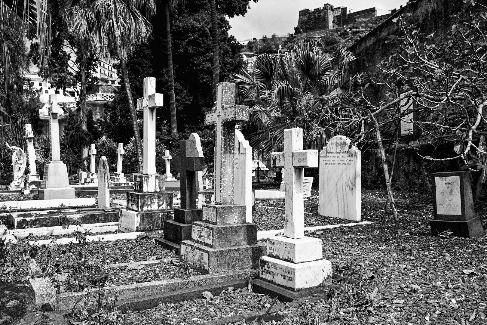 Cemitério Britânico da Madeira 04