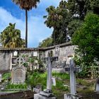 Cemitério Britânico da Madeira 12