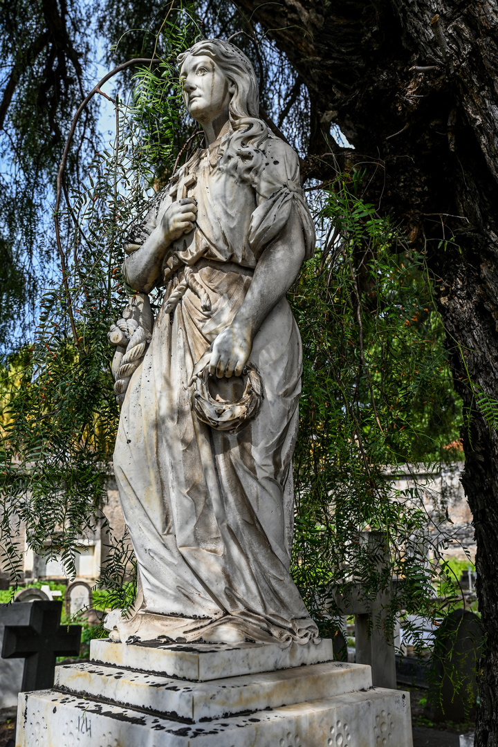 Cemitério Britânico da Madeira 13