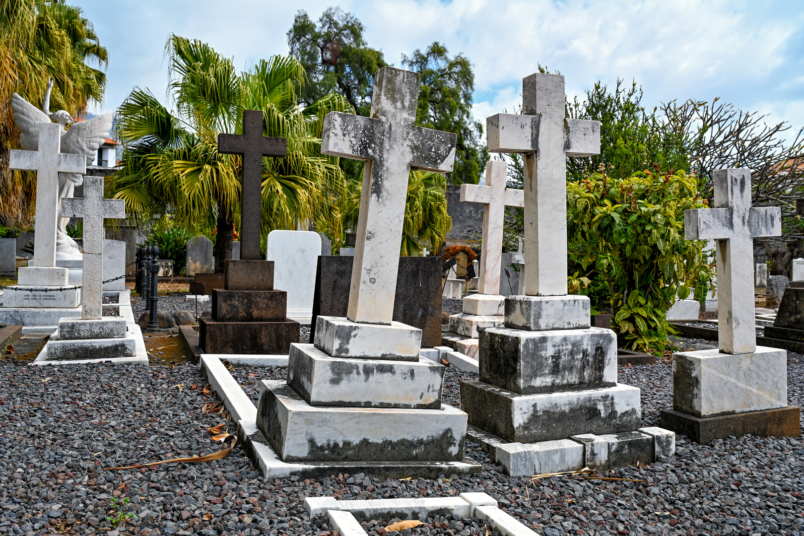 Cemitério Britânico da Madeira 15