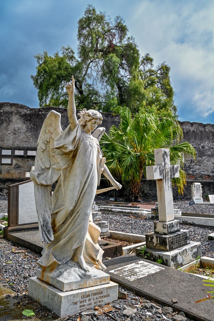 Cemitério Britânico da Madeira 17