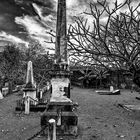 Cemitério Britânico da Madeira 21