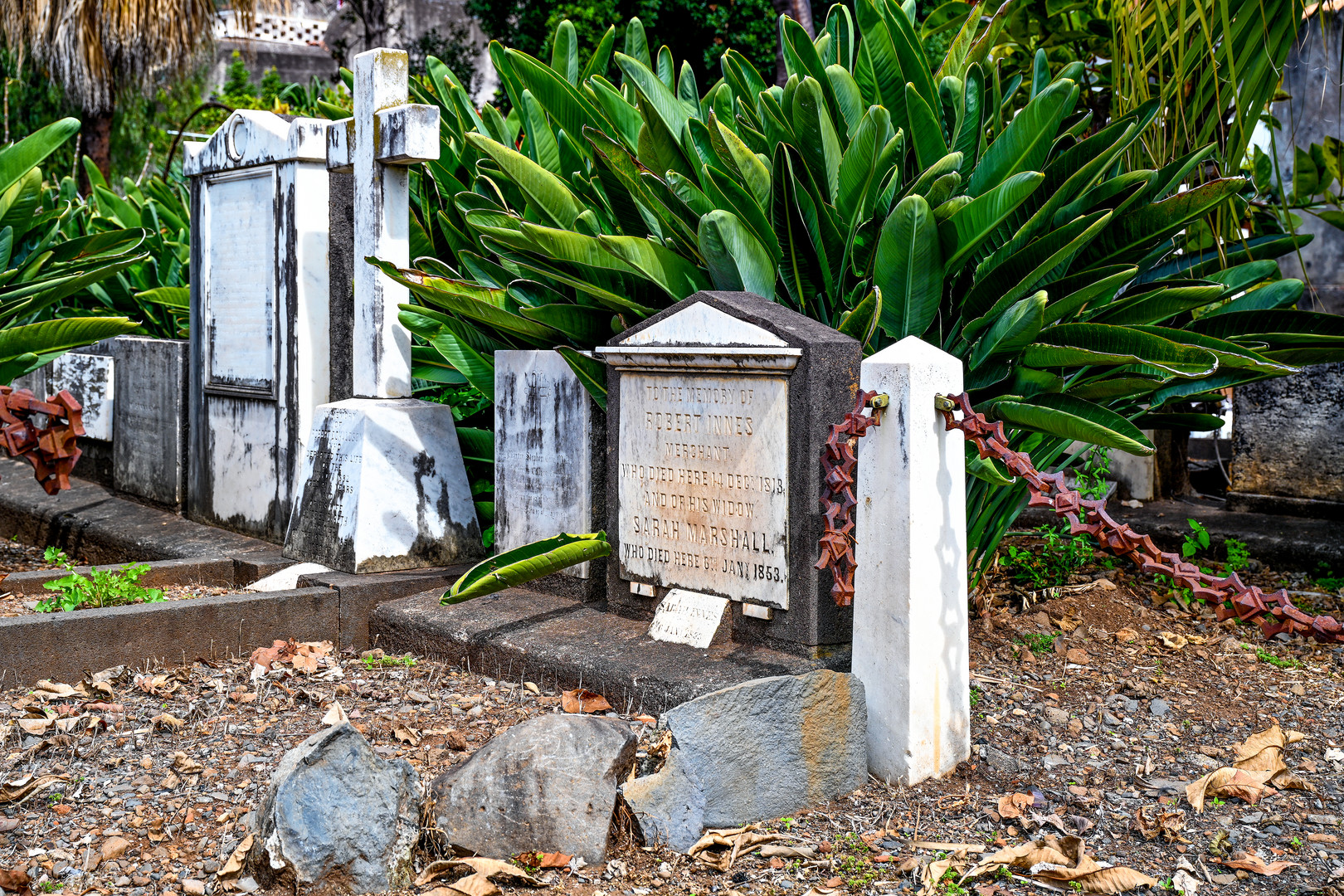 Cemitério Britânico da Madeira 22