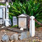 Cemitério Britânico da Madeira 22