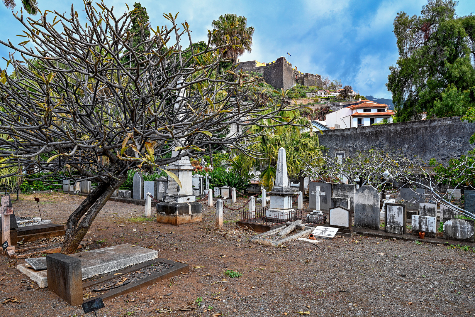 Cemitério Britânico da Madeira 23